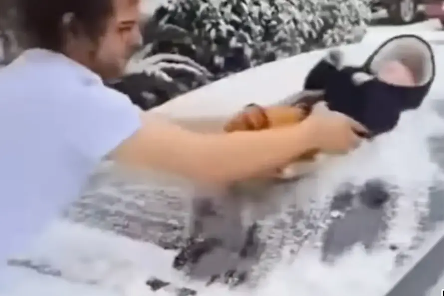 Ovo je strašno!  Muškarac obrisao snijeg s automobila bebom, sve objavio na TikTok