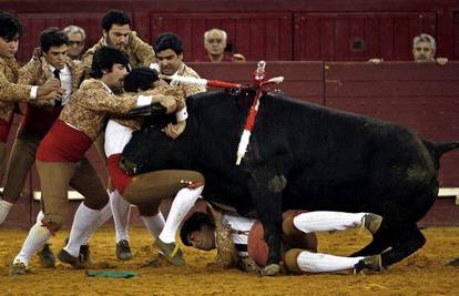 Portugalski toreadori u izravnom sudaru s bikom