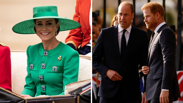 Kate Middleton nastoji pomiriti Harryja i Williama dnevnicima njihove majke: 'Motiviraju je'