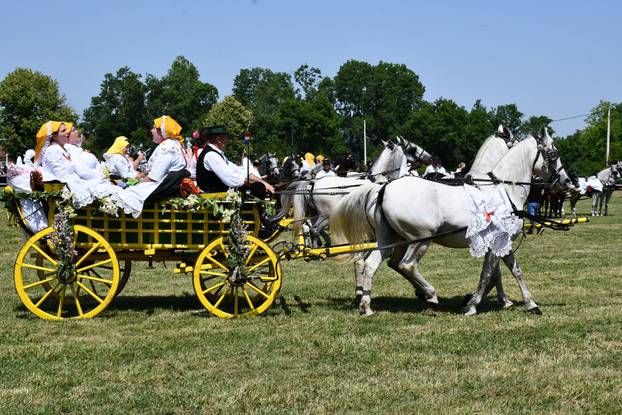 FOTO U znaku tradicije: Na 44. manifestaciji 'Konji bijelci' vozile su se i svadbarske kočije