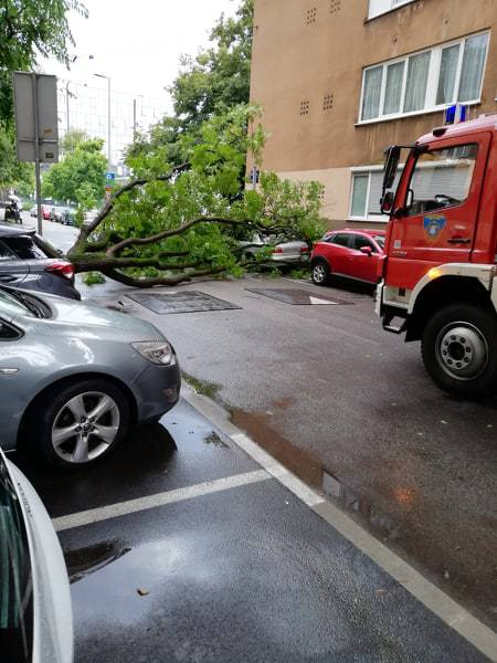 Nevrijeme u Zagrebu: Na auto palo stablo, blokiralo je i ulicu