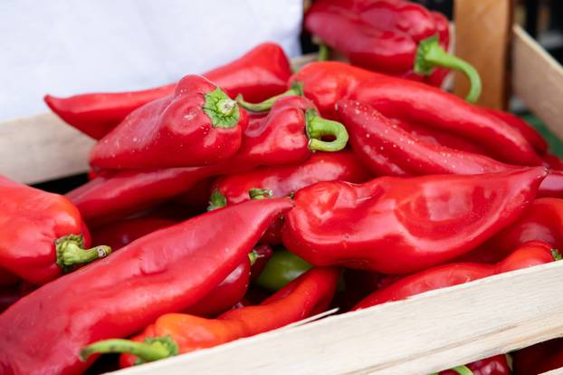 Zagreb: Manifestacija "100% Zagorsko" na Europskom trgu