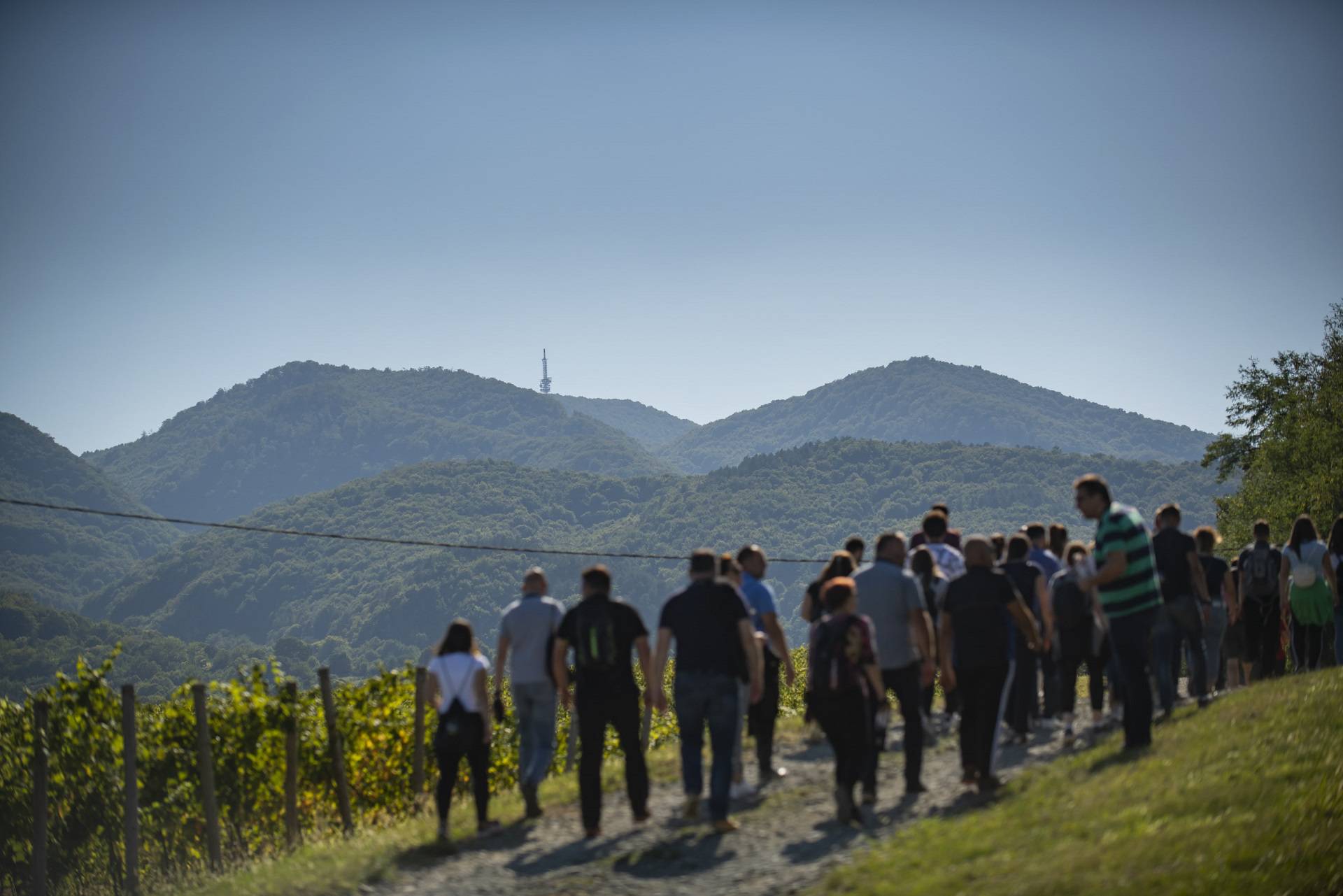 Sve je spremno za drugo izdanje vinskog festivala Slavonija i Podravina, wine not!?