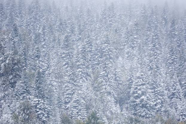 Prvi snijeg na planini Bjelašnici