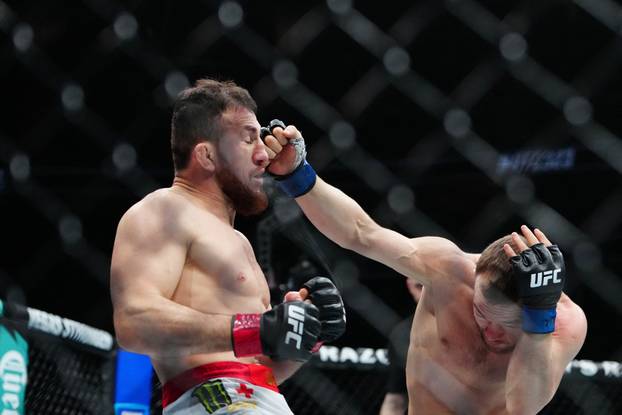 MMA: UFC 323 - Dvalishvili vs Yan