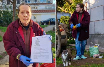 Žena je u Puli hranila mačke ispred zgrade. Kaznili su je sa 132 eura: 'Živim od socijale!'