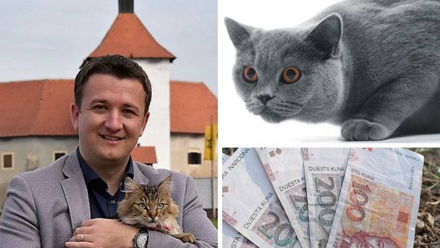 Imala ih 5: Hrvatica mačkama ostavila skoro tri milijuna kuna