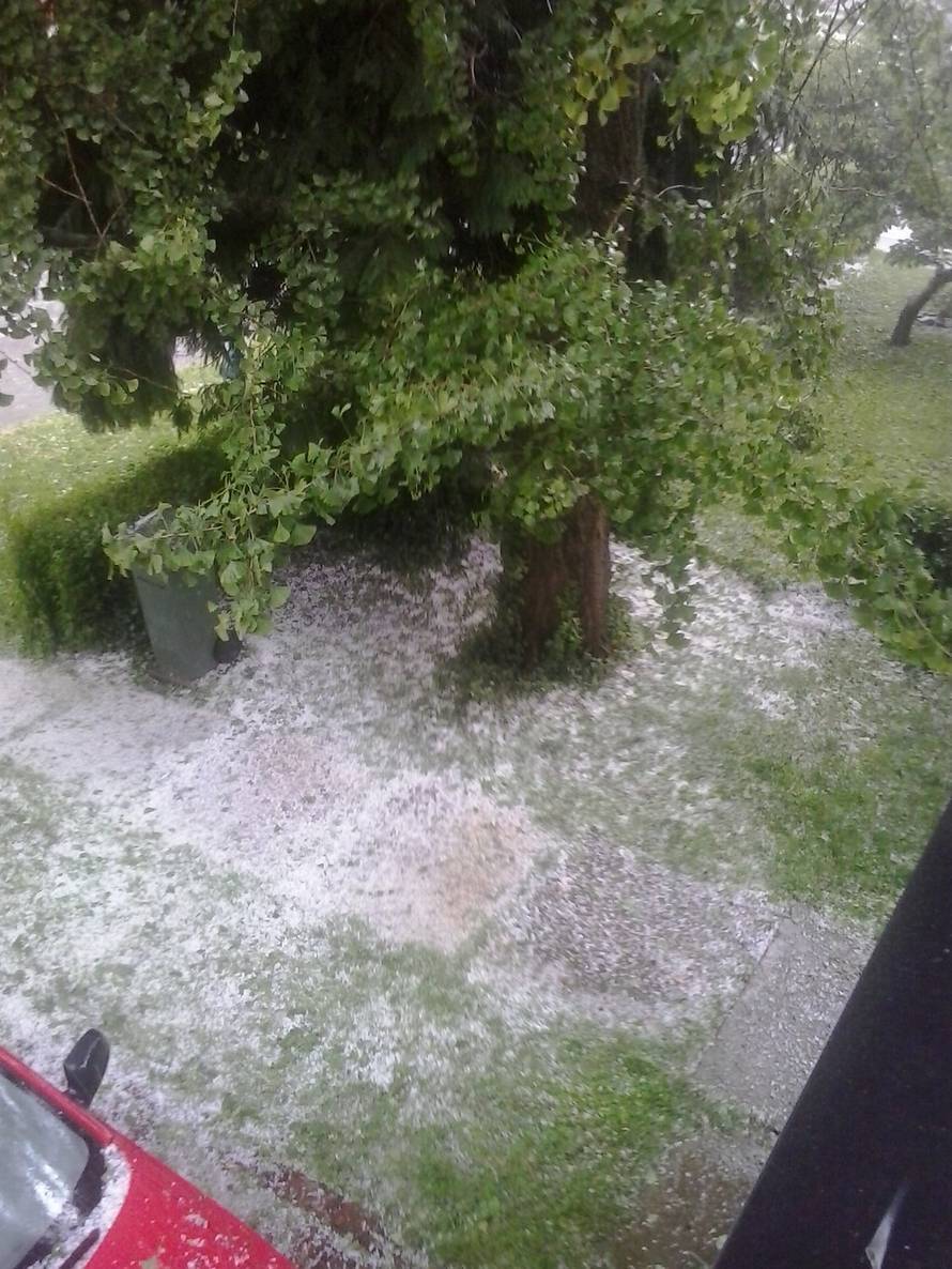 čitatelj 24sata