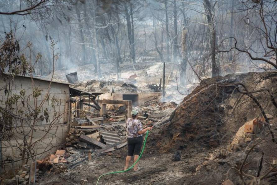 Grgo Jelavic/PIXSELL 