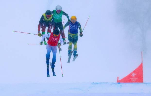 Freestyle Skiing - Women's Ski Cross - Big Final