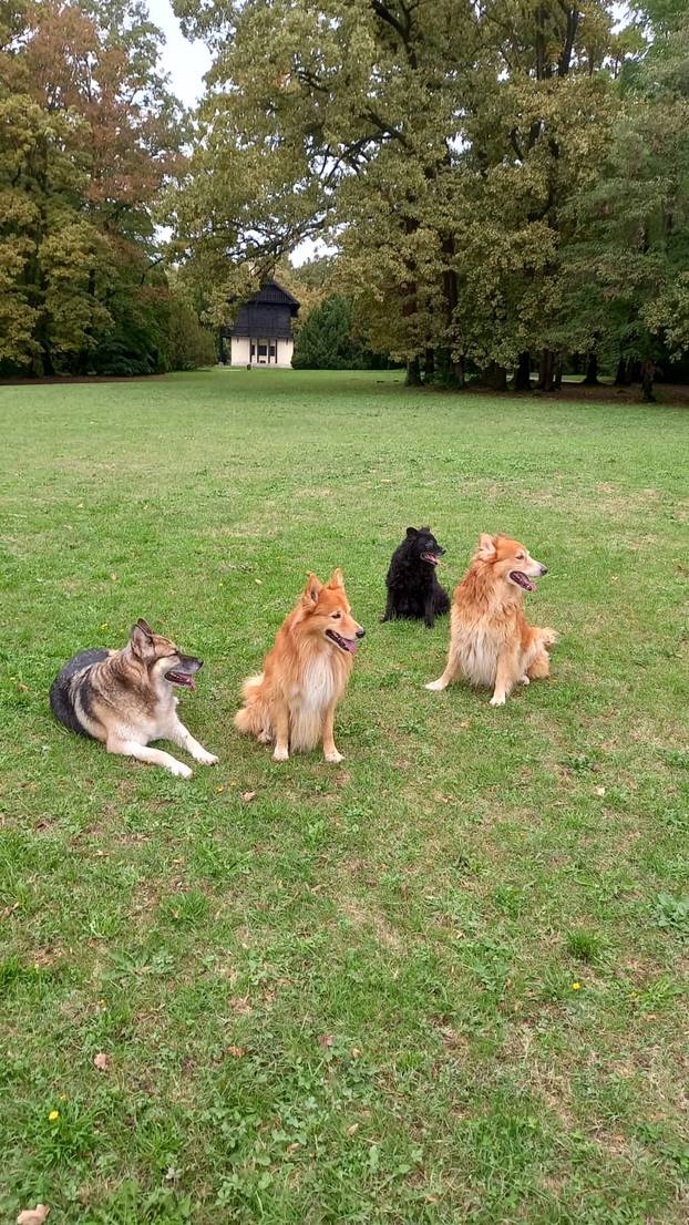 SUPER FOTKE vaših ljubimaca! Neki bi mogli biti viralni hit, ali svi su jednostavno neodoljivi