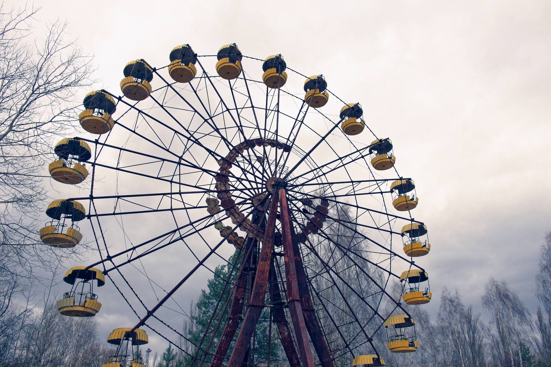 An old Ferris wheel with yellow gondolas, surrounded by trees.