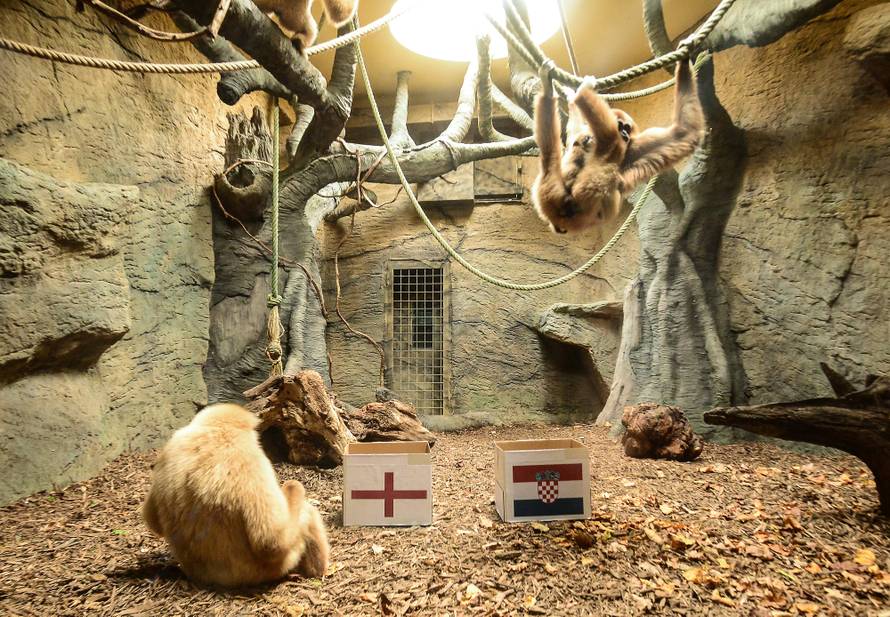 Gibon Kent predvidio pobjedu Hrvatske: Danas nije oklijevao