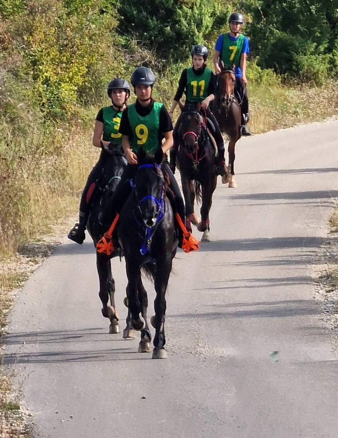 Završnica Croatia Cupa u daljinskom jahanju u Barbanu: "20 godina Endurancea u HR"