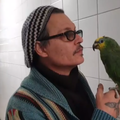 Johnny Depp priča s papigom na srpskom, čak ju je opsovao