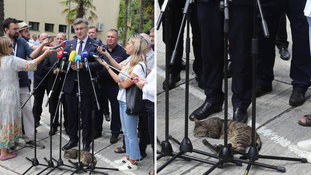 'Ne znam tko je ovaj, ali mogao bih si malo odspavati': Mačak zaspao kraj nogu Plenkovića