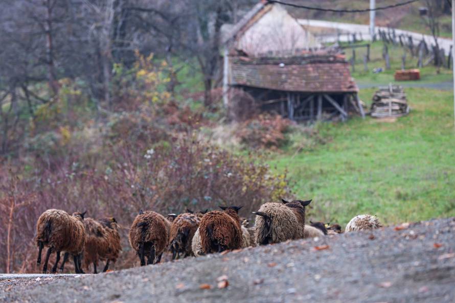 Ljubej Kalnički: Dan nakon stravičnog otkrića otkrivaju se detalji nezapamćenog zločina