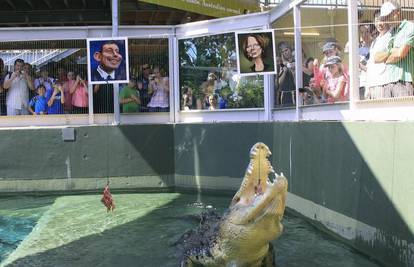 Australija: Izbori tijesni, ali krokodil zna pobjednika