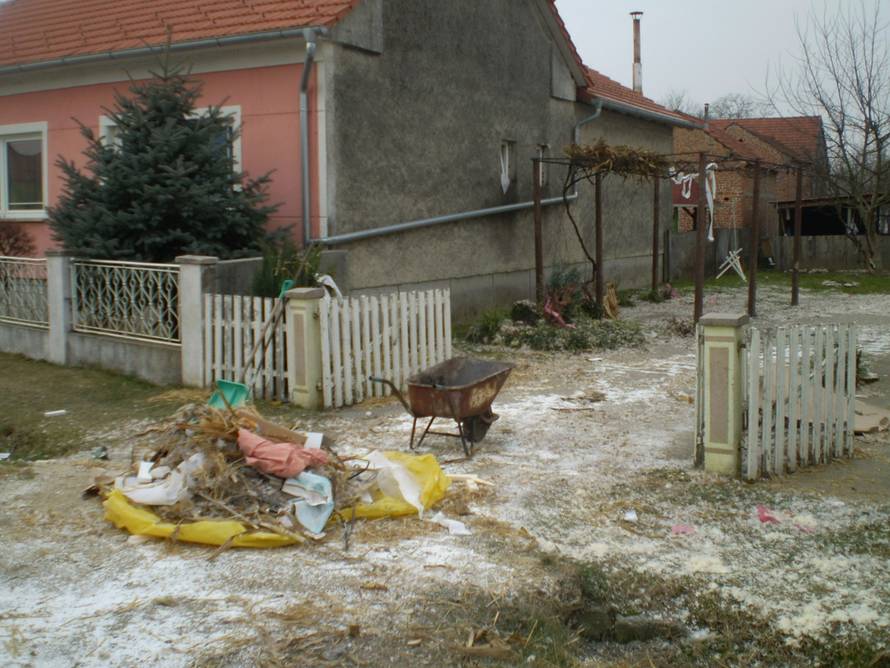 Alma Međimorec
