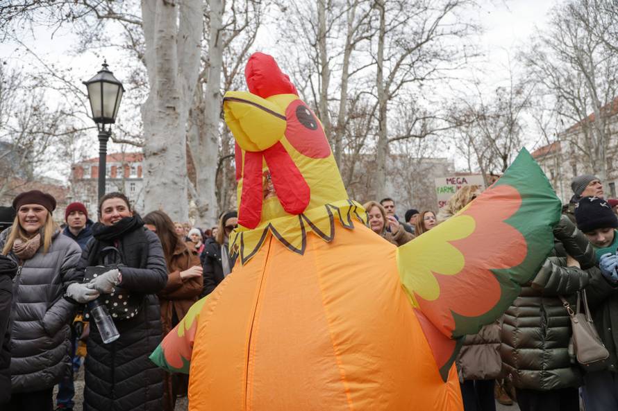 Zagreb: Prosvjed protiv kompleksa industrijskih megafarmi i klaonica peradi u Sisačko-moslavačkoj županiji