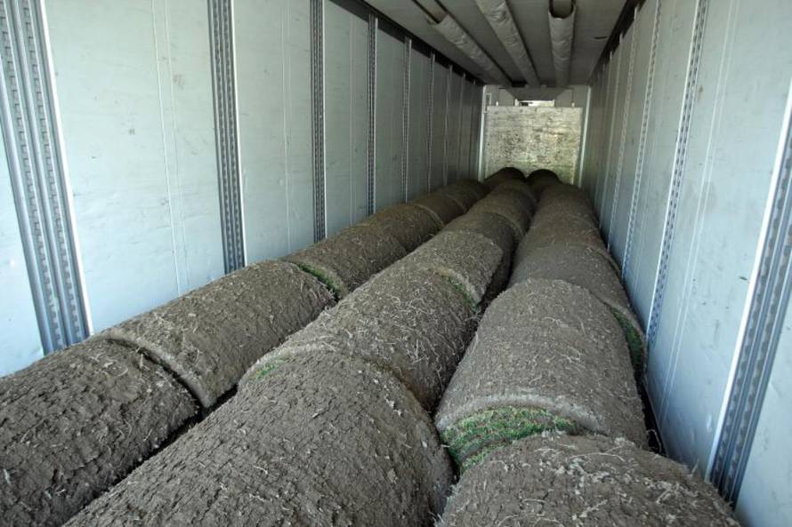 Sanjin Strukić/PIXSELL