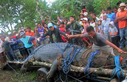 Gigantski krokodil ulovljen na Filipinima danima odbija hranu