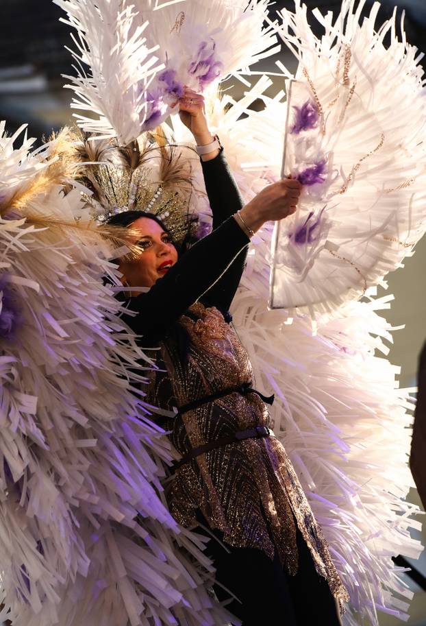 Samobor: Povorka mjesnih odbora i alegorijskih kola na Fašniku