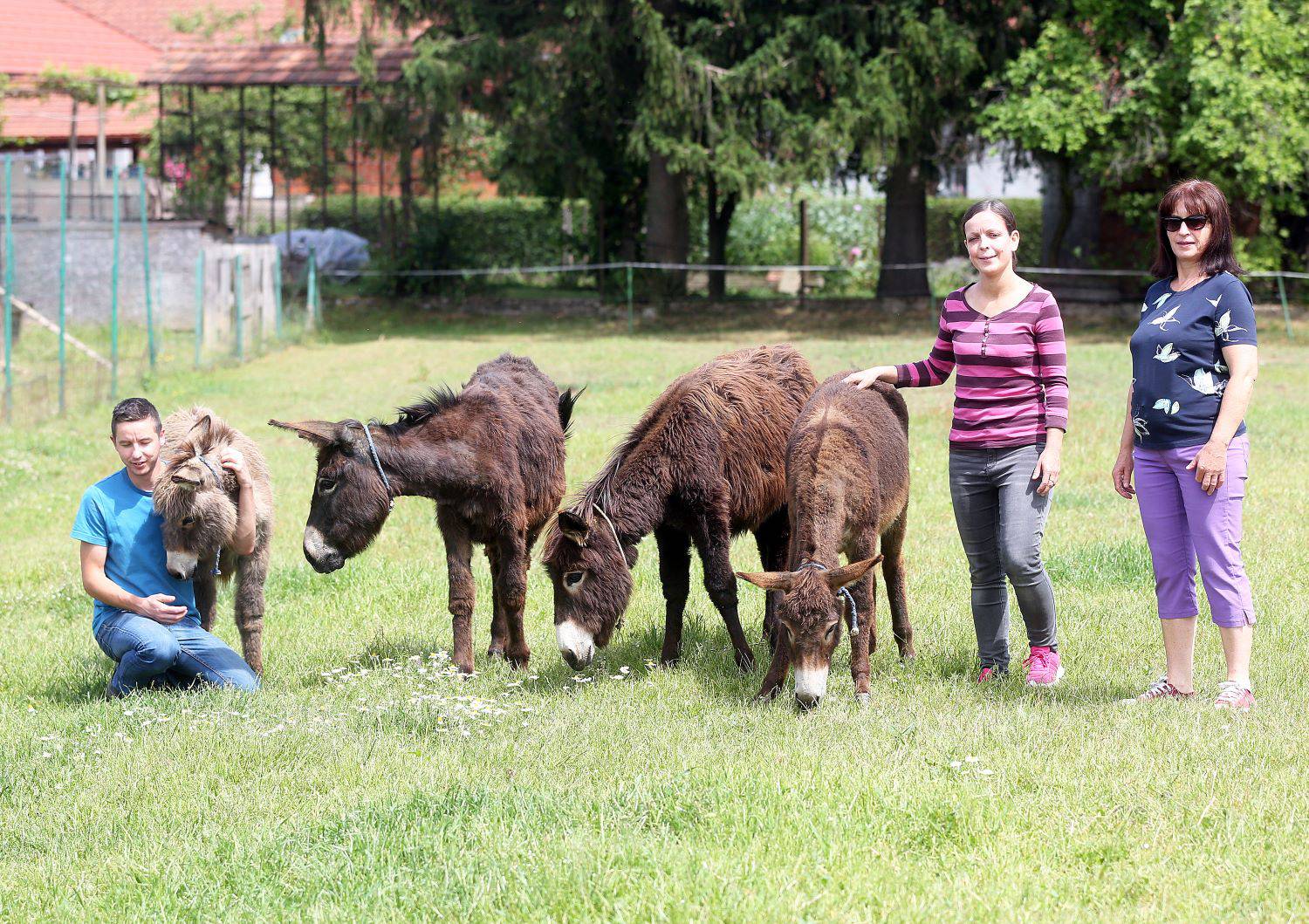 Carstvo u Murskom Središću: 'Na našem ranču Ponyland žive najsretniji konjići na svijetu'