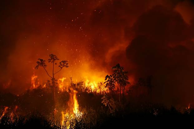 The Wider Image: In Brazil, it