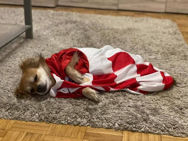 ŠAPE GORE! Ovako navijaju za repku ljubimci naših čitatelja