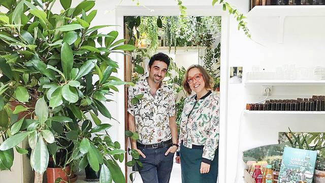 Zeleni ukrasi: Idealan dekor za spavaću sobu je rajska palma