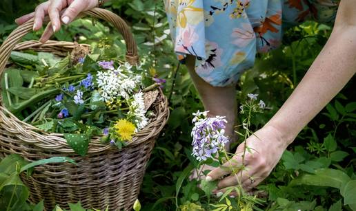 Otkrivano zašto sve više kupaca bira Biljarica krute šampone i regeneratore