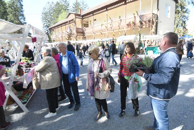 Daruvar: Sajam cvijeća, bilja i sadnica privukao mnogobrojne posjetitelje