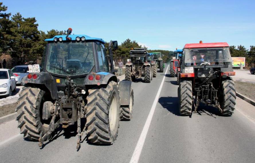 Ivana Ivanović/Pixsell