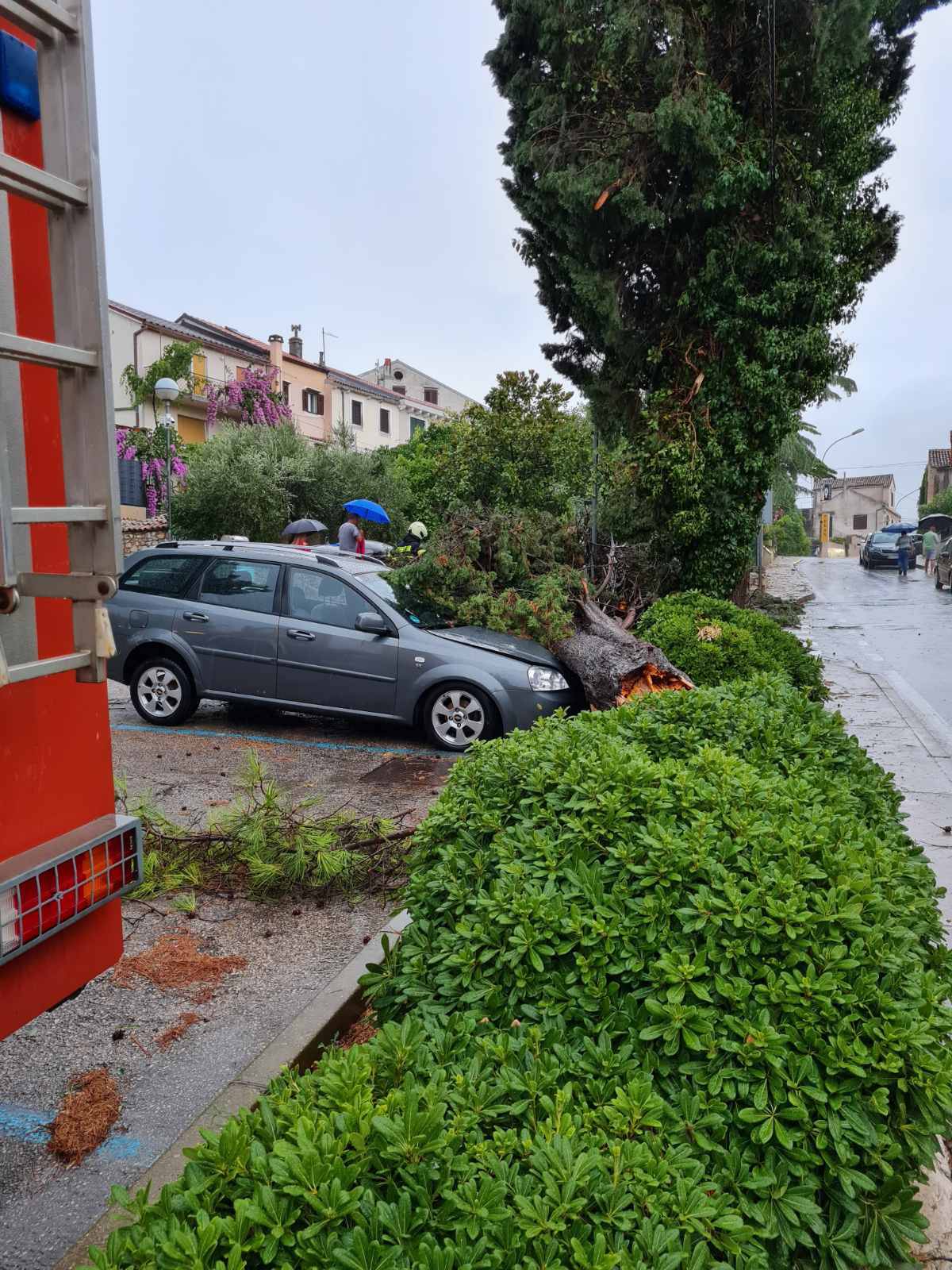 Nevrijeme poharalo Mali Lošinj: Vjetar je čupao drveće, potopljene su brojne brodice