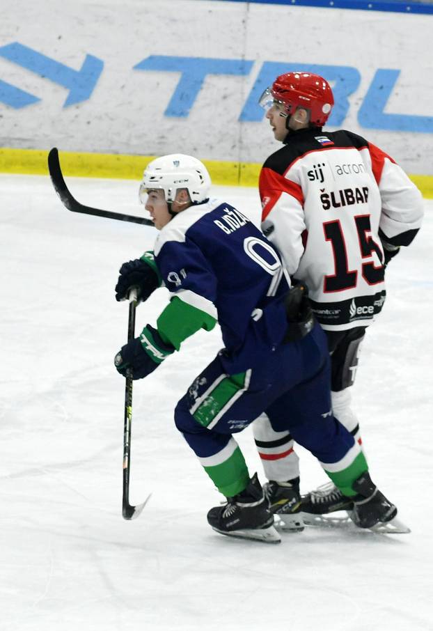 Sisak: Susret hokejaša Siska i Jesenica u Alpskoj hokejaškoj ligi