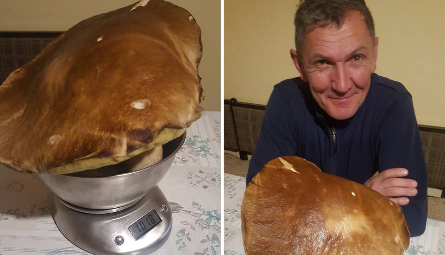 ‘Mega vrganj je veći od moje glave i teži je od kilograma’