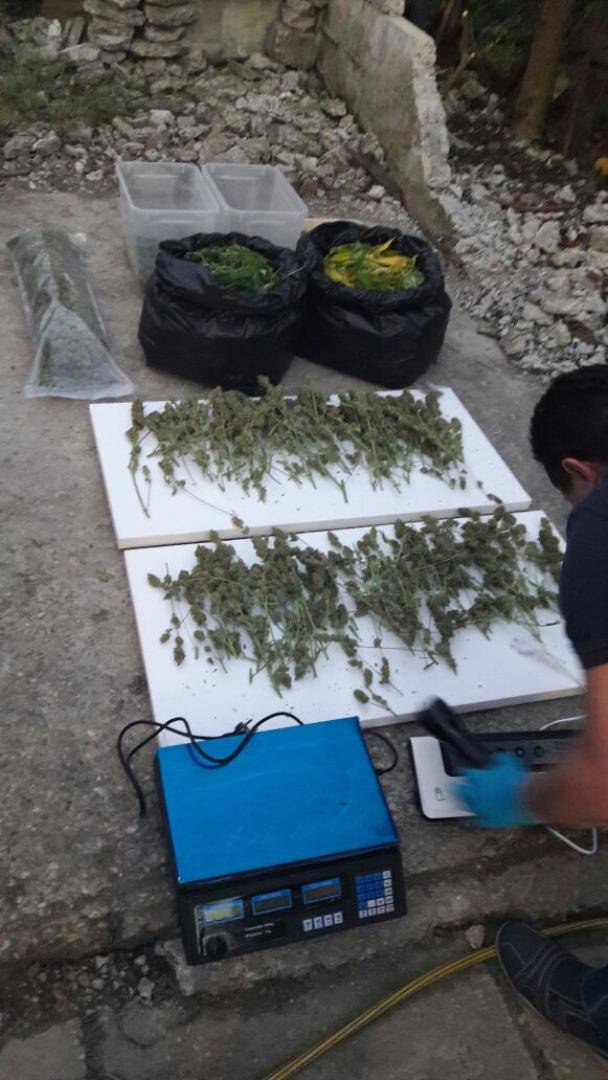 Policija u Zagrebu zaplijenila 411 biljki 'trave', kokain, hašiš