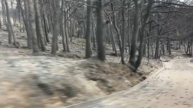 VIDEO Prošli smo uz spaljeni dio kod Omiša, evo kako izgleda