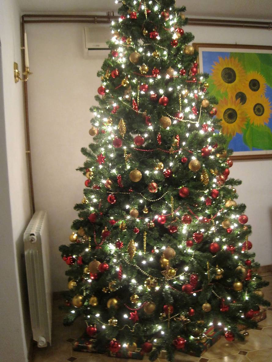 Šaljite fotografije božićnih jelki i osvojite vrijednu nagradu...