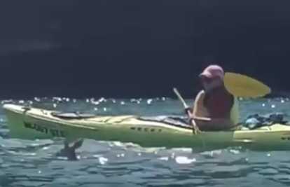 VIDEO Bravo! Kajakaši spasili lane od utapanja u jezeru