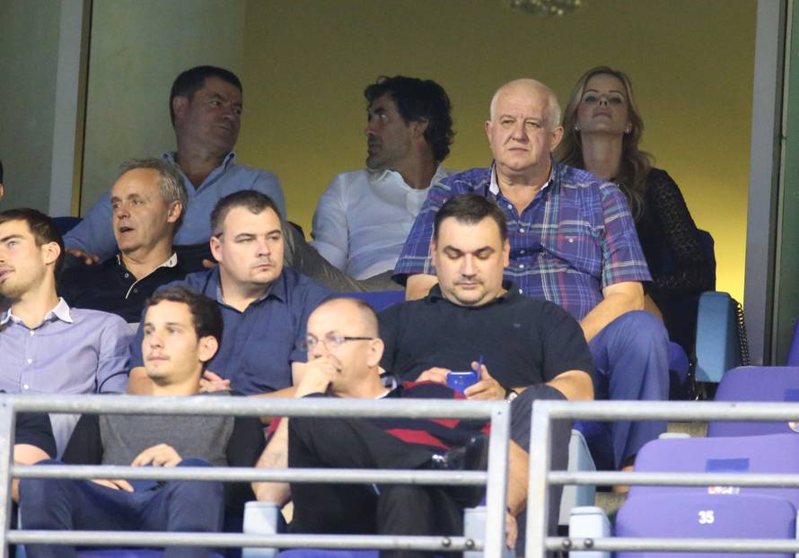 Treći brat Mamić digao je glas, obilježio je skupštinu Dinama