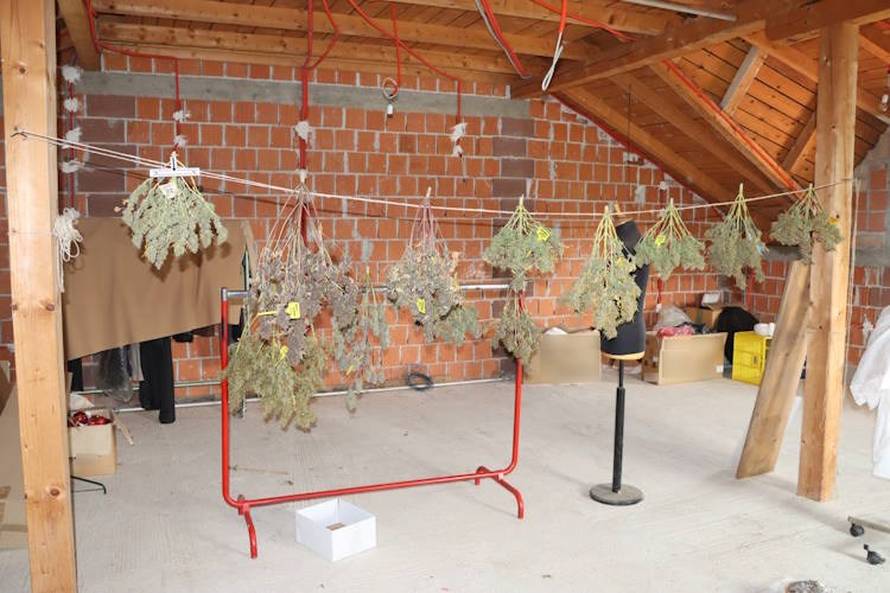 FOTO Narcos iz Desinca. Otkrili labos u dvorištu, uzgajao travu, gljive i kaktuse za meskalin