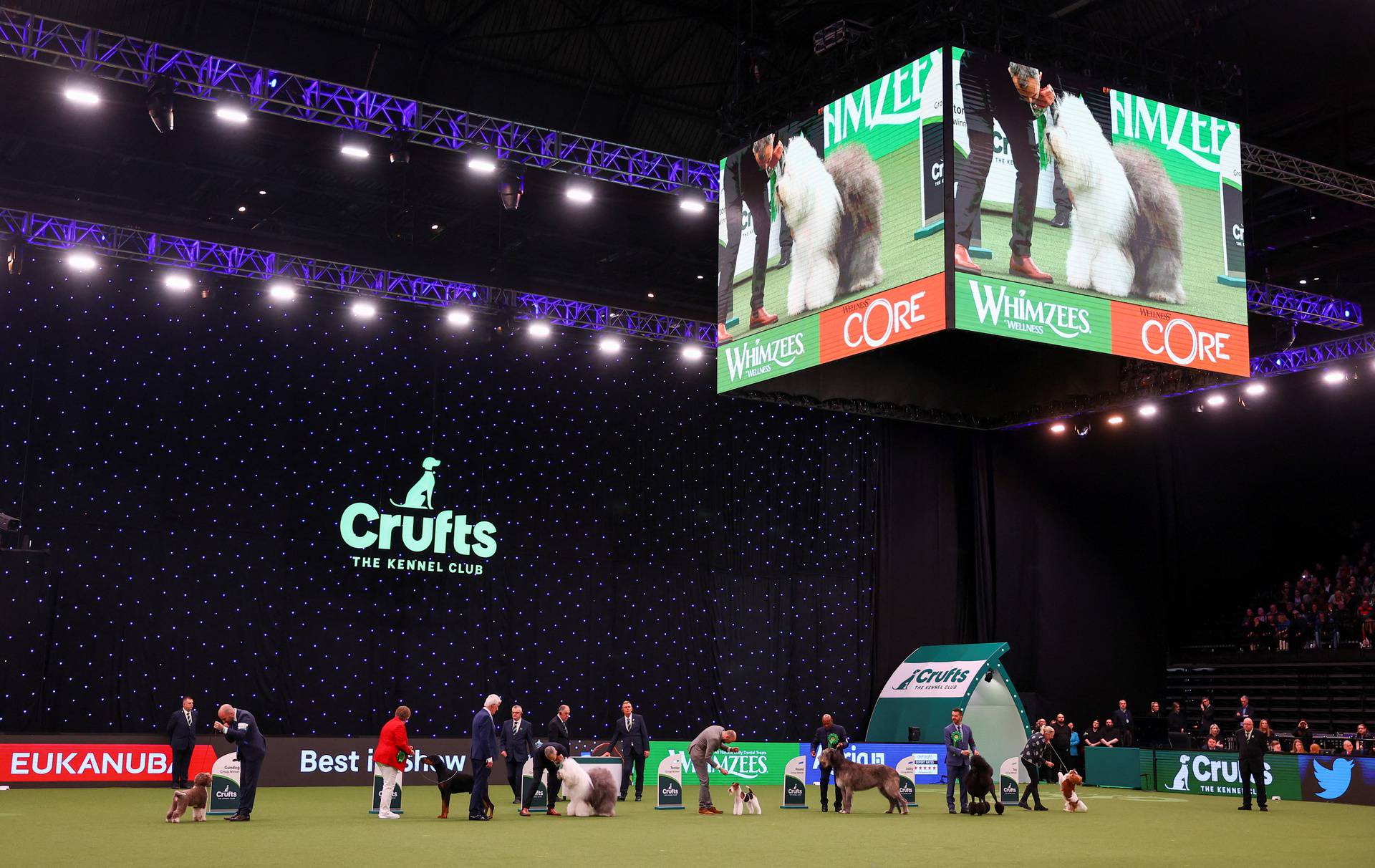 Final day of the Crufts Dog Show in Birmingham