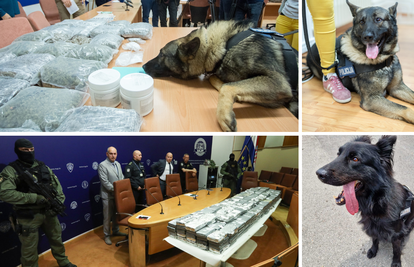 Kako su najveće njuške Carine i Policije otkrile rekordnih 745 kg kokaina skrivenog u riječkoj luci