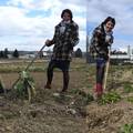 Križevci daju parcele za vrtove za 50 lipa po m2: 'U Magdinim vrtovima sadimo grašak i zelje'
