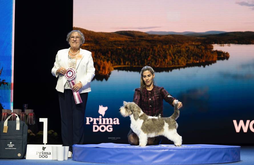 Prije 16 godina plesala je sa psima na Supertalentu, a sada ima najljepšeg psa na svijetu