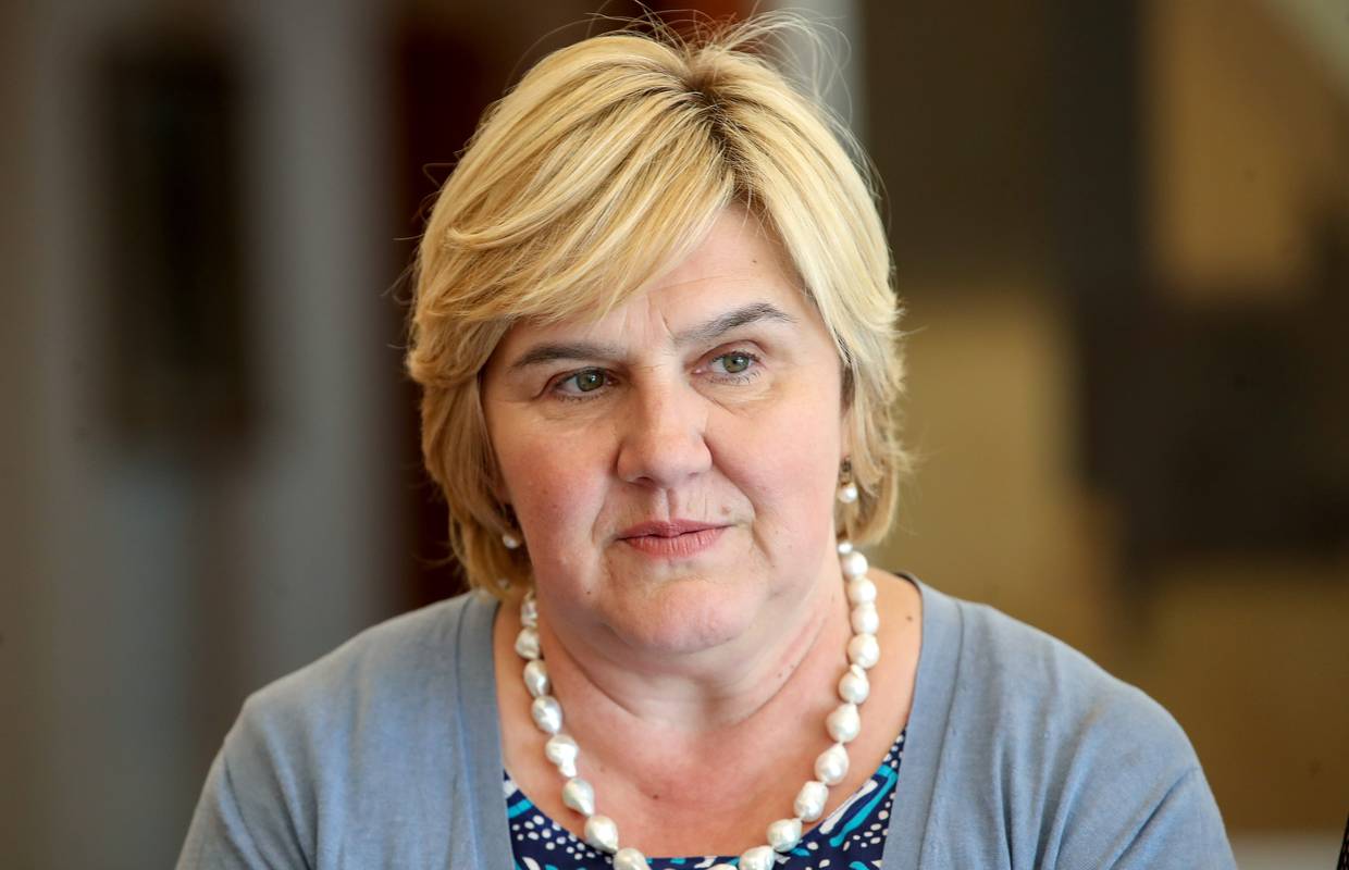 DIP je udruzi Željke Markić zabranio promatranje izbora