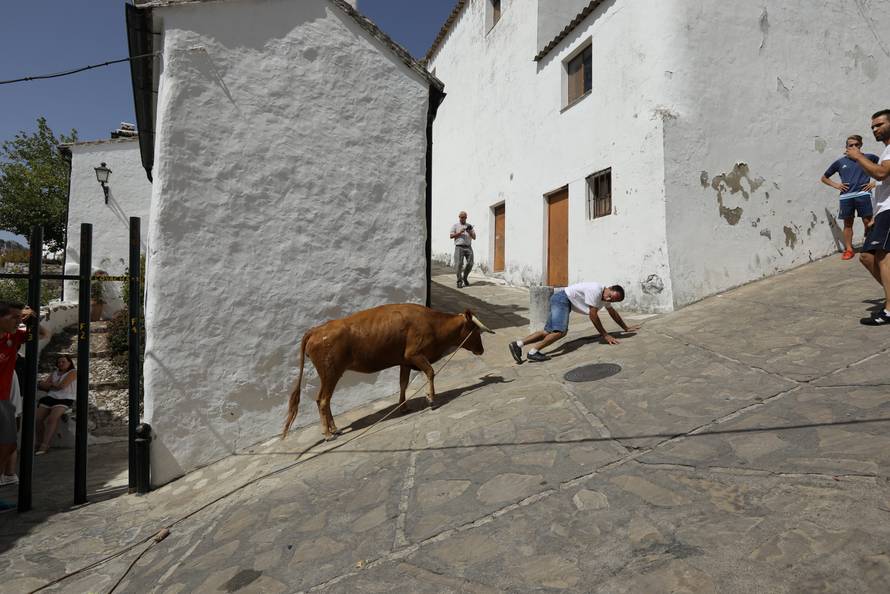 The Wider Image: Life in Andalusia's pueblos blancos