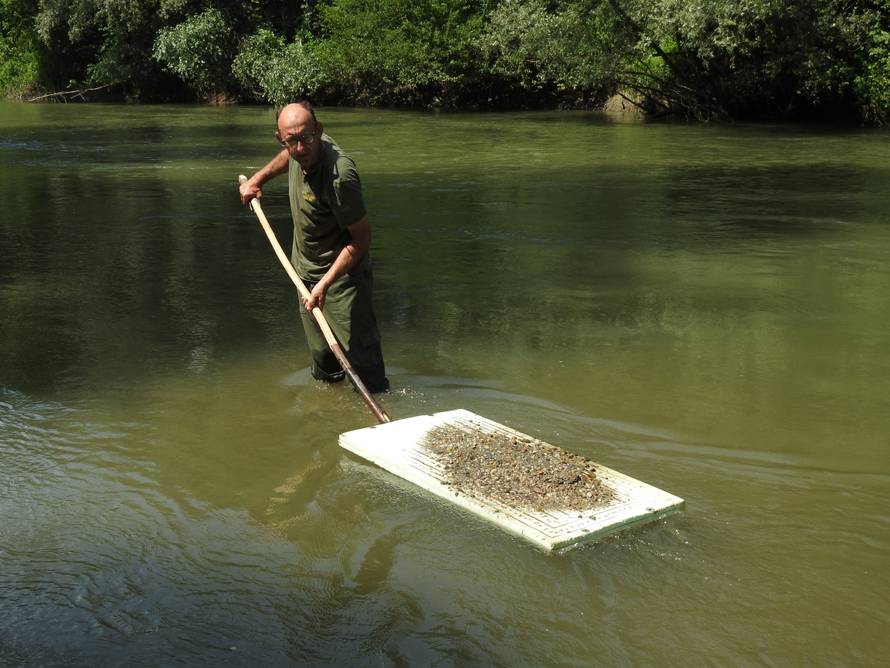 Posljednji tragač za zlatom na Dravi: 'Uvijek se nešto nađe...'